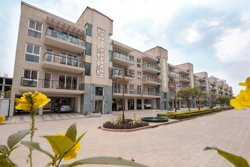 BPTP The Pedestal